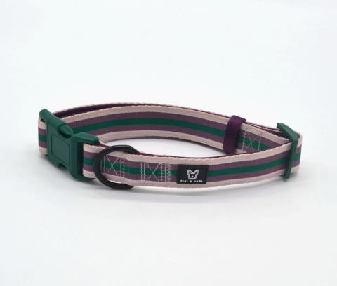 Halsband Beltington Länge 37 - 63 cm | Breite 3 cm