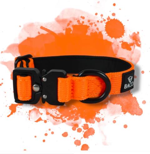 Hundehalsband Neonorange Edition Mini - Gr. XS