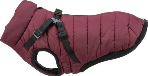 Geschirr-Wintermantel Pirou Sangria Gr. S - 40cm