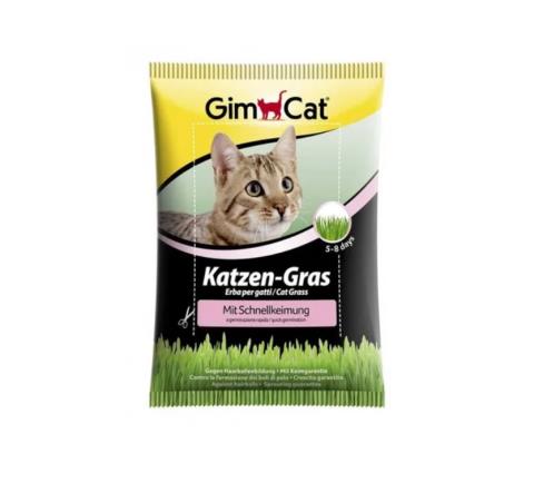 Katzen-Gras mit Schnellkeimung 100g Packung