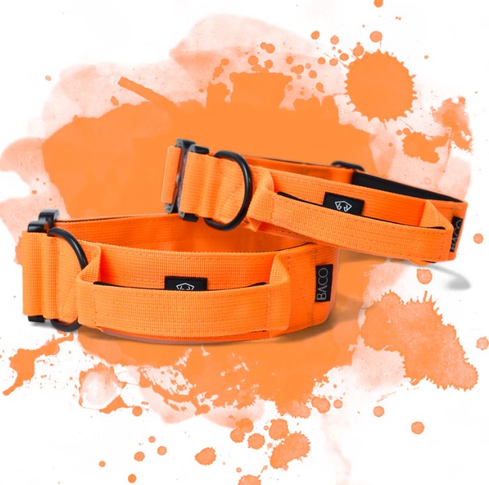 Hundehalsband Neonorange Edition Gr. M