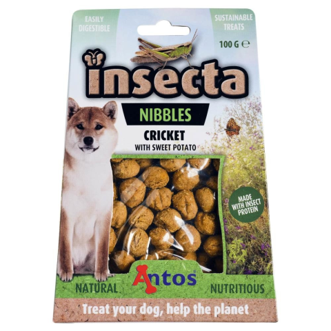 Insecta Grille & Süßkartoffel 100g Packung
