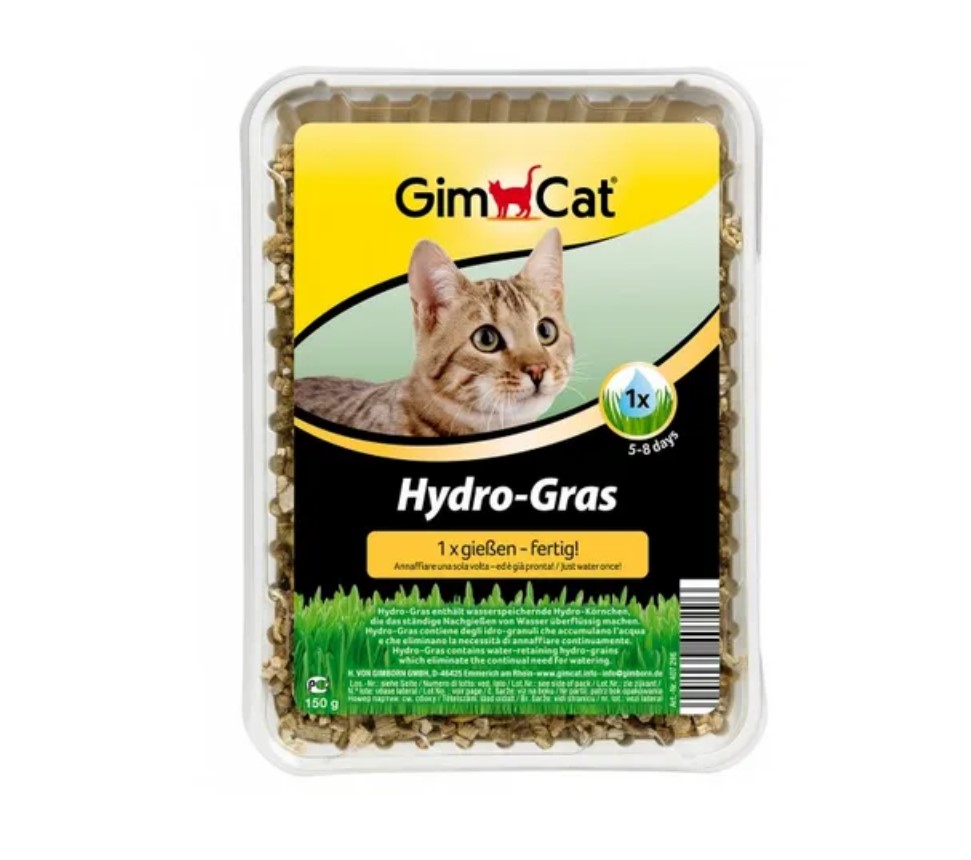 Katzengras Hydro 150g Packung