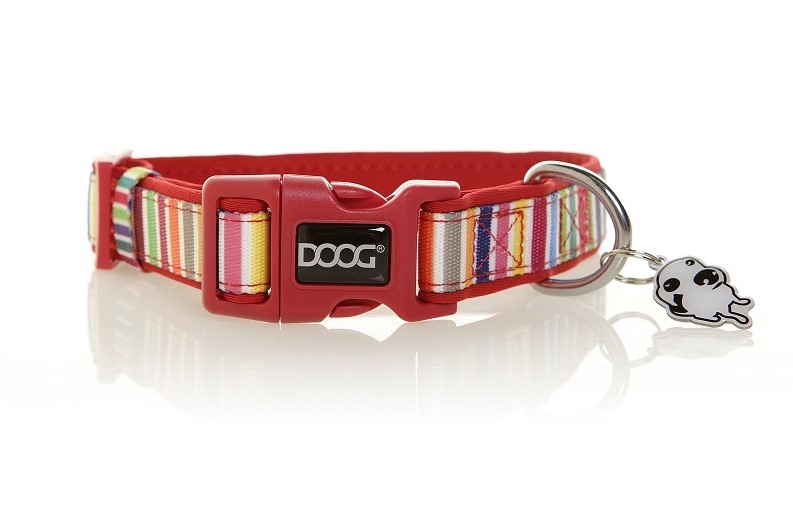 Halsband Scooby multi-color stripped Gr. L
